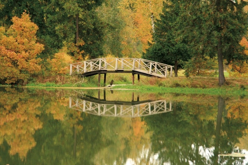 Họa sỹ Rafail Levitsky_Cây cầu gỗ nổi tiếng đặc trưng của Abramtsevo