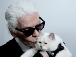 Shu Uemura mời… mèo của Karl Lagerfeld đóng quảng cáo