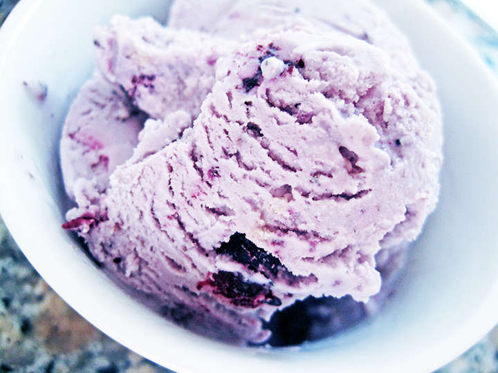 haagen_dazs_blueberry_crumble_ice_cream