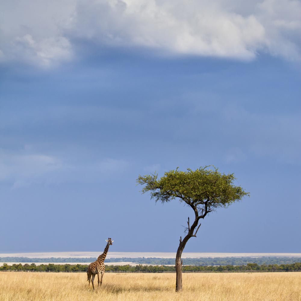 Natural-World-Safaris-expensive-holidays