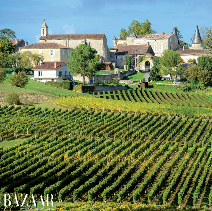 Bordeaux còn tự hào về một số ngọn đồi thiêng nhất trái đất dành cho rượu vang