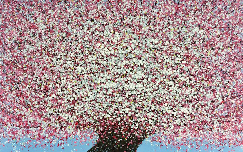 Liêu Nguyễn, Hoa Đào 6, Cherry Blossom 6; 2017; Acrylic trên vải bố; 120 x 190 cm.