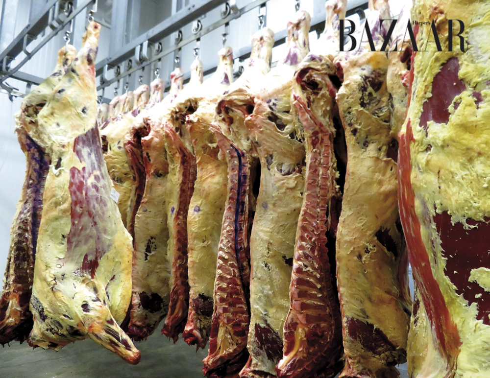 Những con bò sau khi xẻ thịt được treo lên móc trong phòng lạnh từ 45 đến 90 ngày