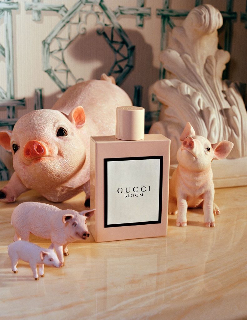 6012019-thuong-hieu-gucci-3-chu-heo-con-3