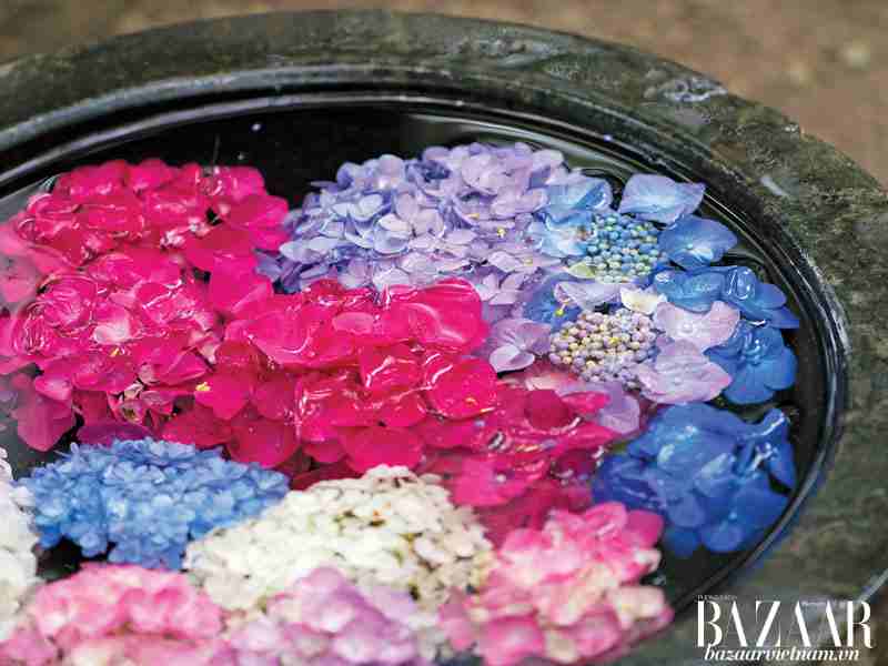 3 Cách Cắm Hoa Đơn Giản Mà Nghệ Thuật | Harper'S Bazaar Việt Nam