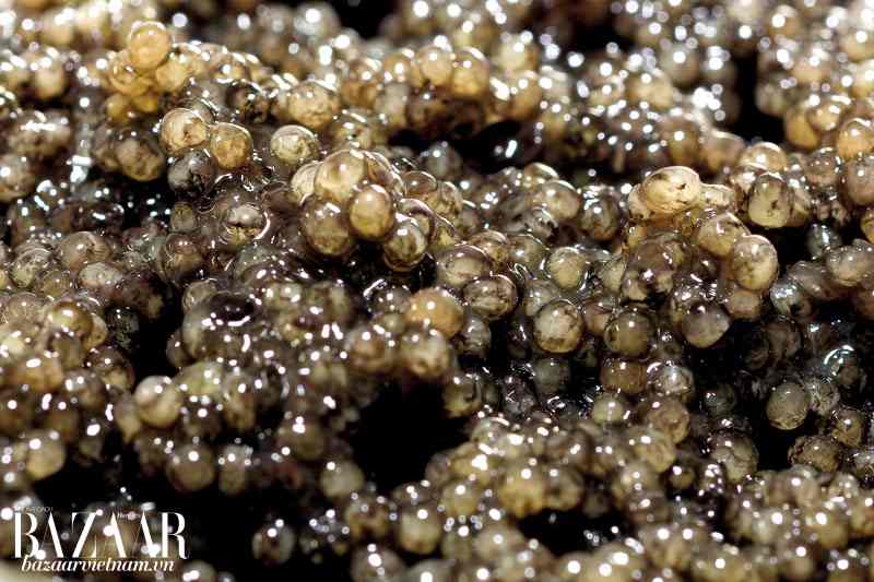 Không kết hợp với trứng cá muối caviar