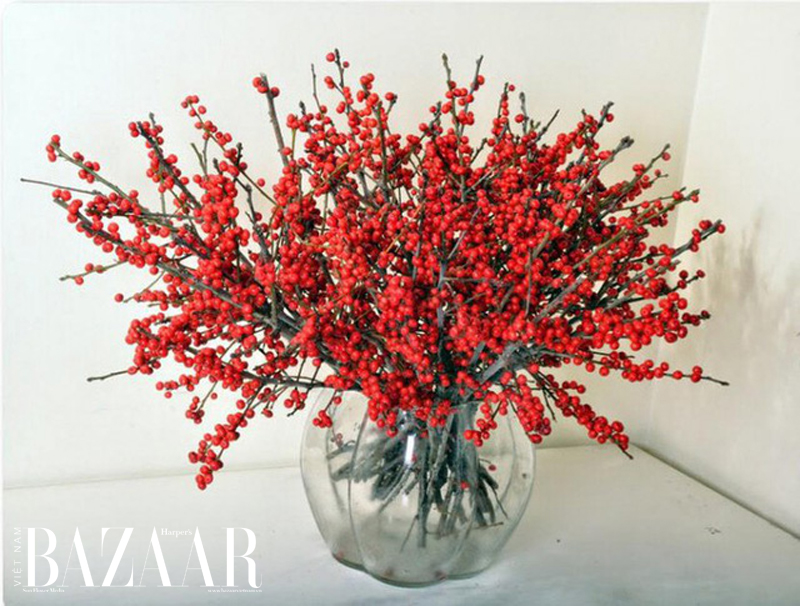 Những loài hoa đẹp, lạ cho mùa Tết năm nay | Harper\'s Bazaar