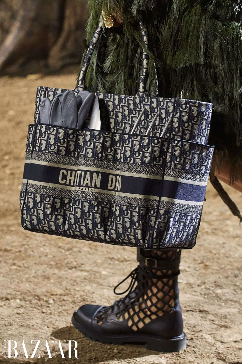 Christian Dior Catherine Tote Oblique Canvas at 1stDibs
