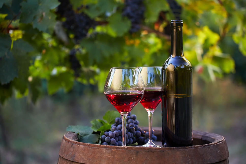Tìm hiểu Cabernet Sauvignon, loại rượu vang đỏ phổ biến nhất thế giới