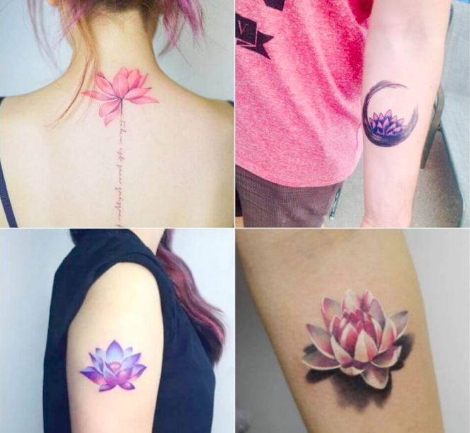Ý nghĩa hình xăm hoa cúc họa mi trong nghệ thuật tattoo