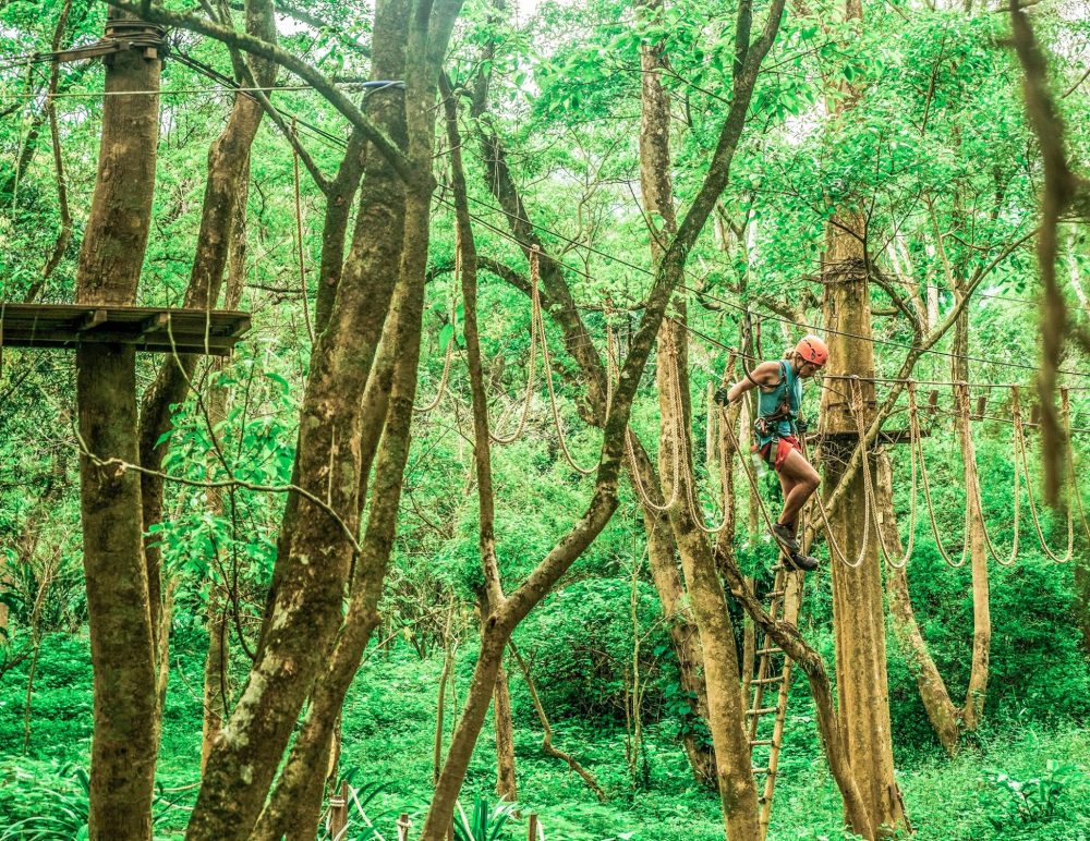 Kinh nghiệm chọn tour du lịch Quảng Bình
