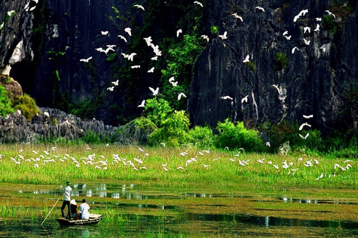 Tam Cốc, các địa điểm du lịch Ninh Bình