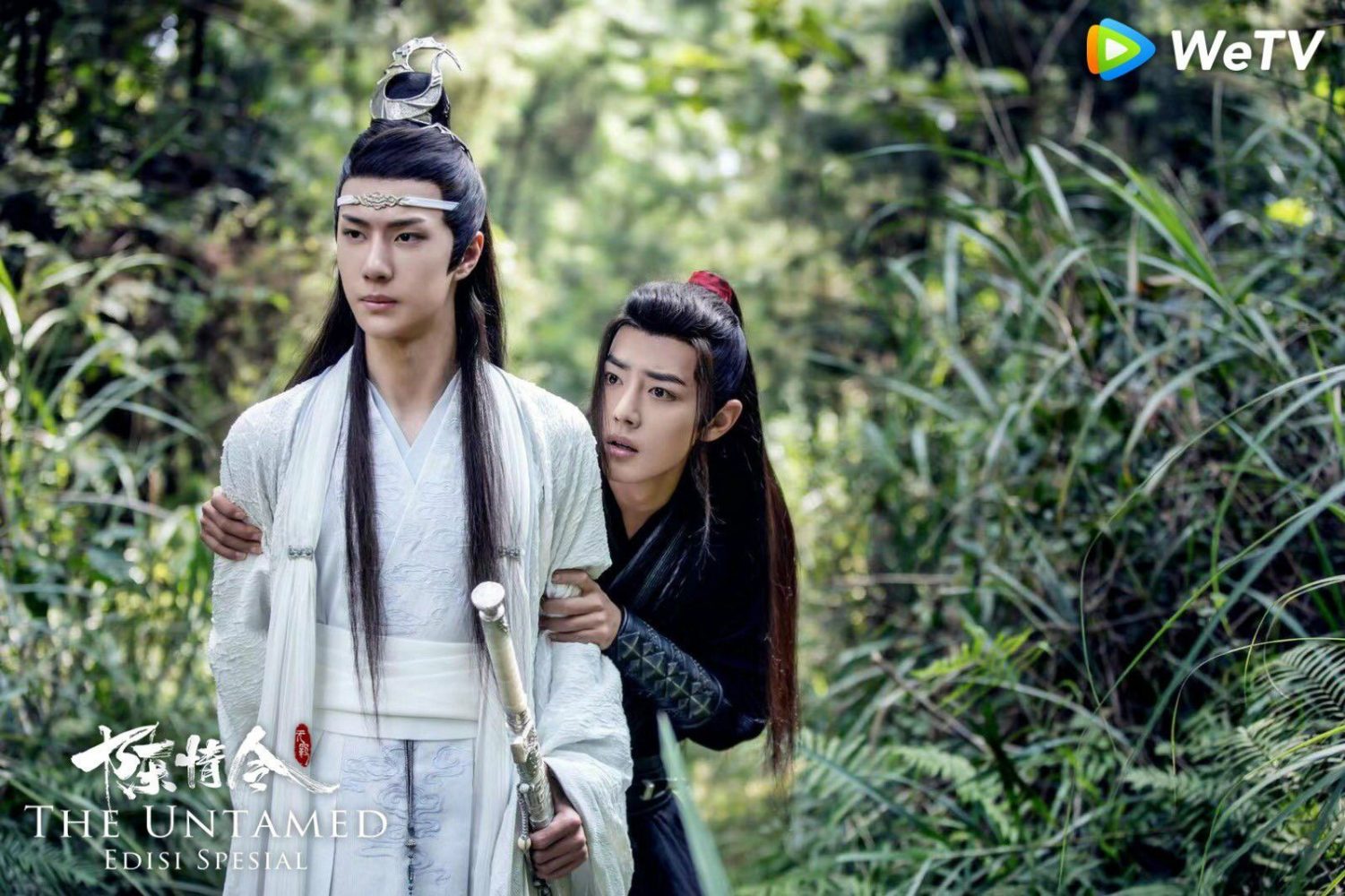 Trần tình lệnh bản đặc biệt - The untamed special edition (2019)