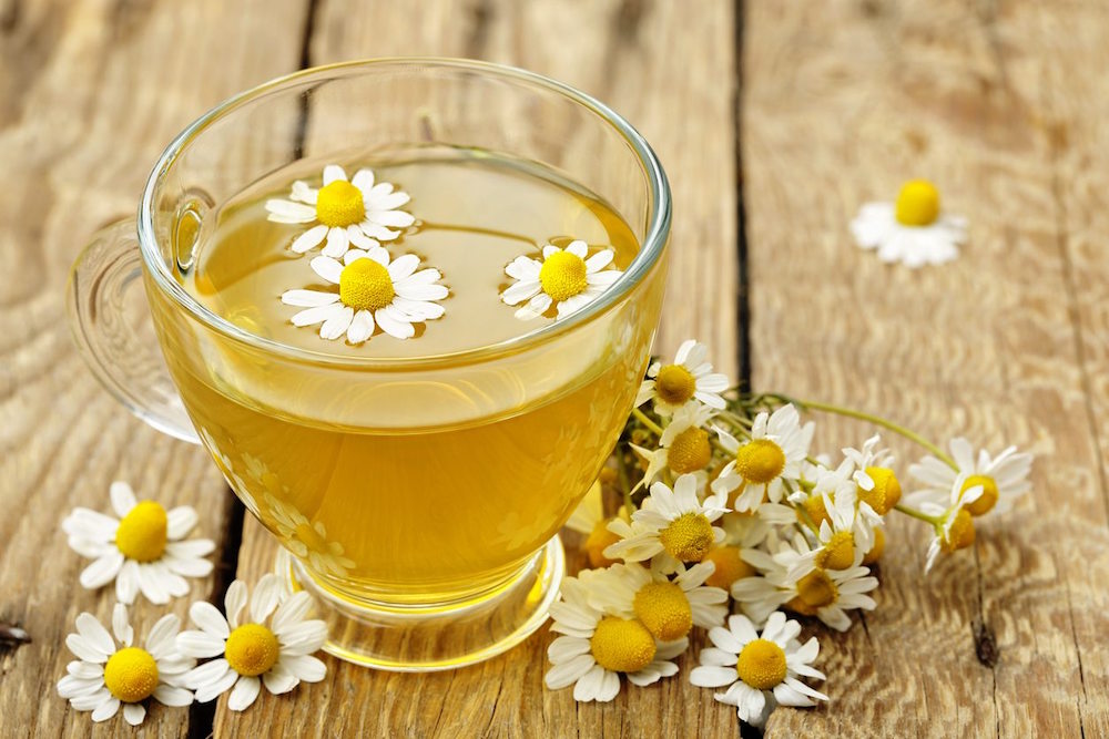 Tác hại trà hoa cúc gây tương tác thuốc