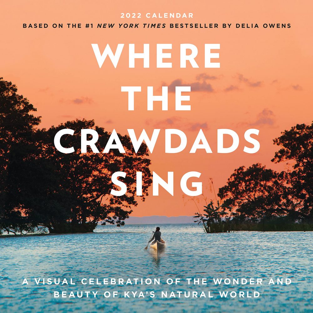 Phim tâm lý tình cảm Mỹ hay nhất mọi thời đại: Xa ngoài khơi loài tôm hát - Where the Crawdads Sing (2022)
