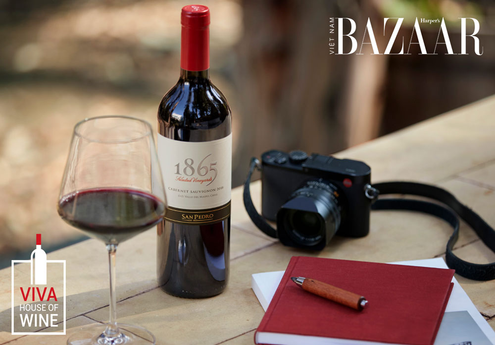 rượu vang 1865 Selected Vineyard – Cabernet Savignon 2019