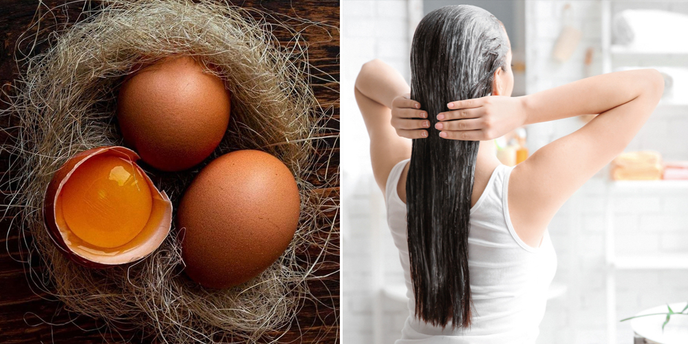 cach u toc bang trung ga 5 - 10 cách ủ tóc bằng trứng gà dưỡng và phục hồi tóc hư tổn