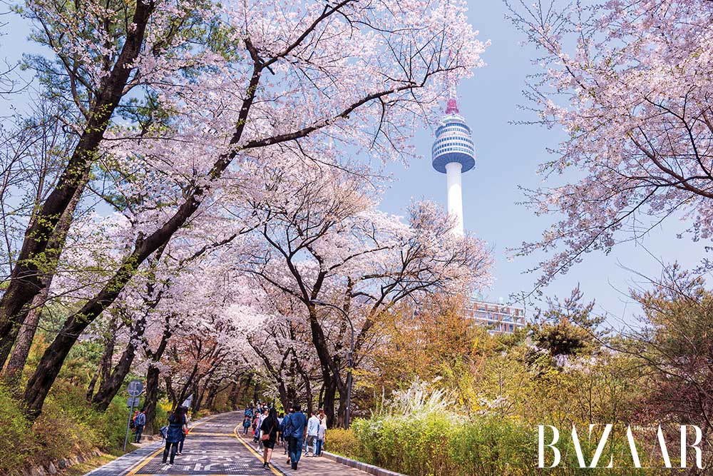 Chơi gì ở Seoul