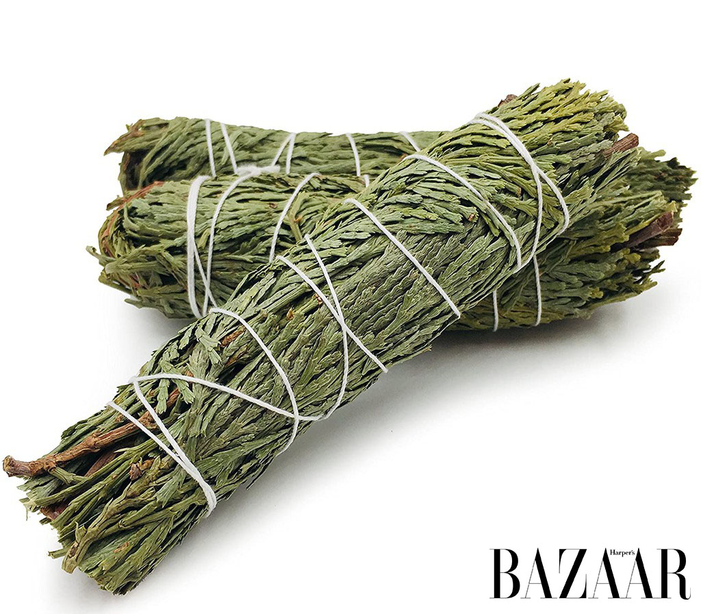 Harper's Bazaar_Liệu pháp hương thơm xô thơm gỗ trắc xanh_05