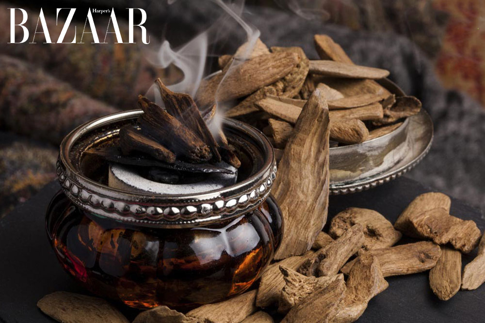 Harper's Bazaar_Liệu pháp hương thơm xô thơm gỗ trắc xanh_03