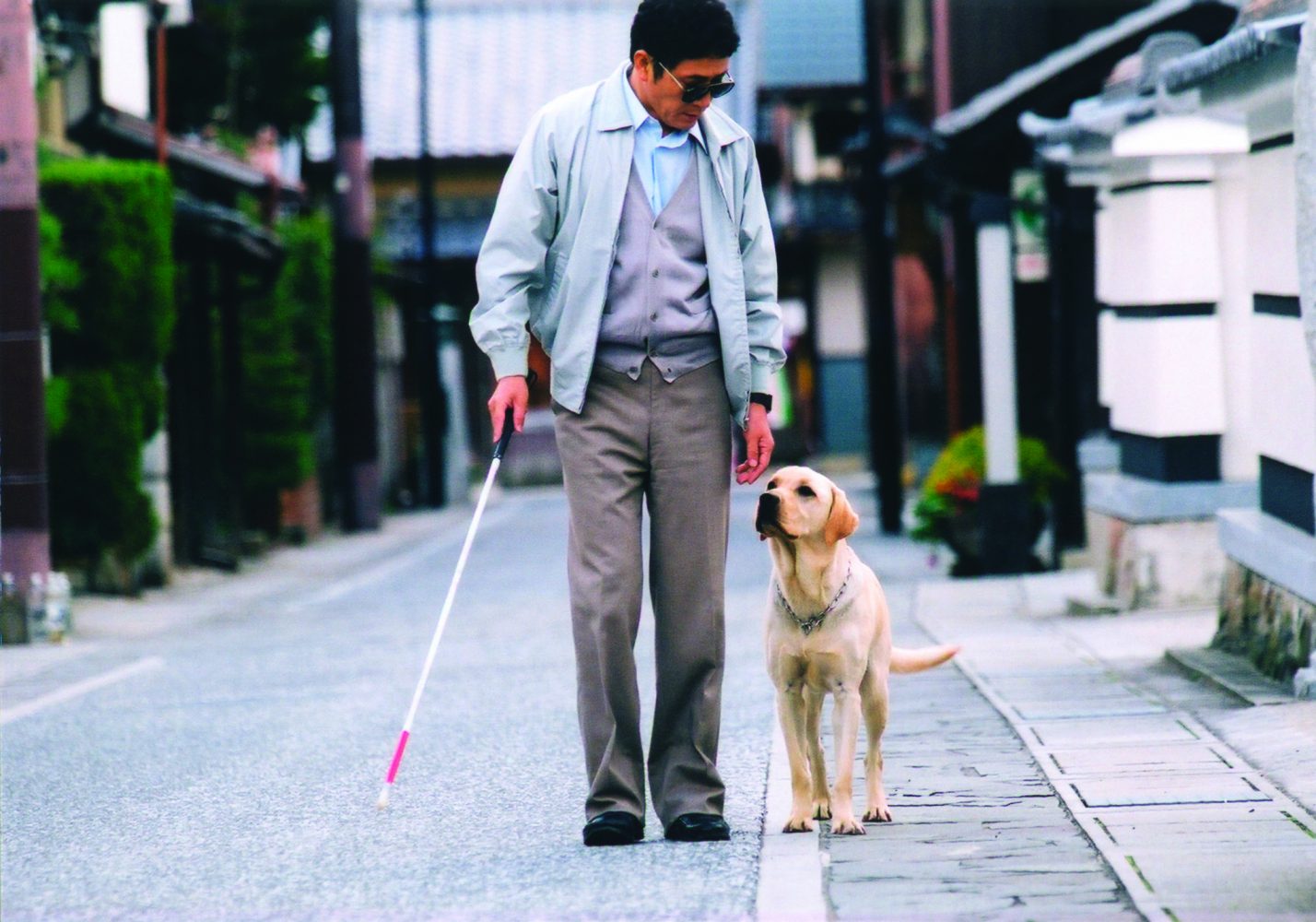 Phim hay về loài chó: Chú chó Quill - Quill (2004)