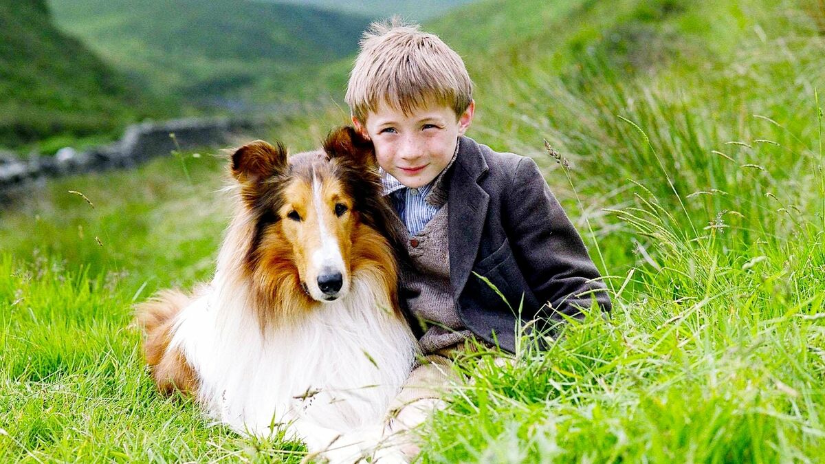 Lassie về căn nhà - Lassie (2005)