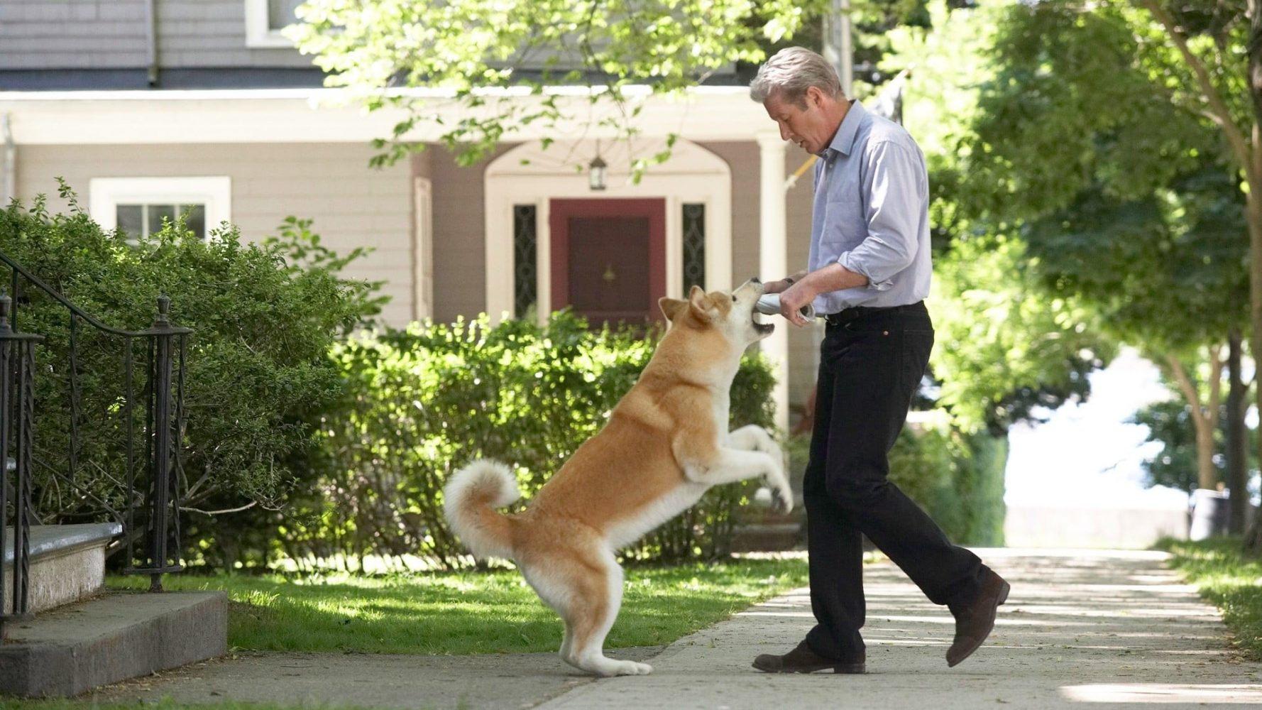 Phim về chó hay: Hachiko: Chú chó trung thành với chủ - Hachiko: A Dog's Tale (2009)