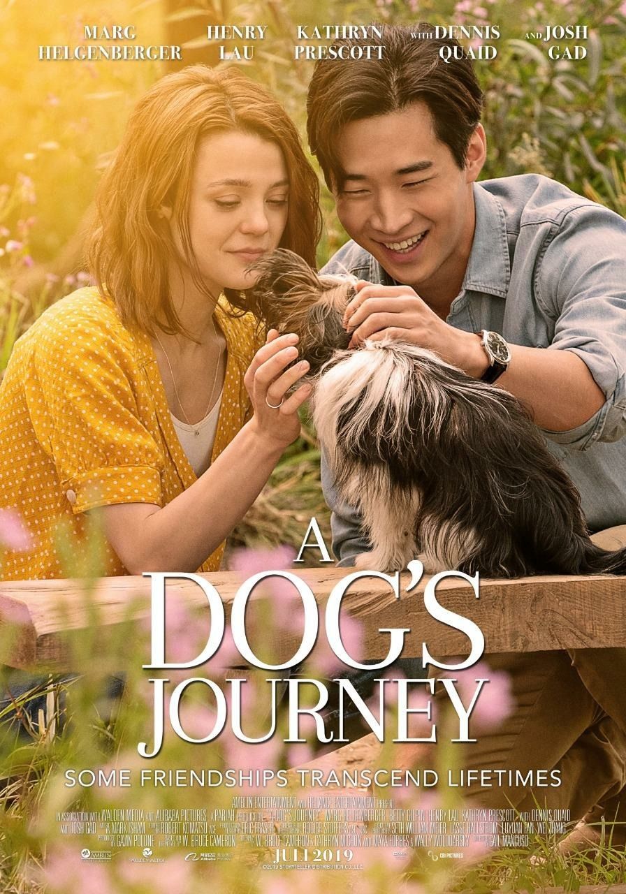 Hành trình của chú ấy chó Bailey - A Dog's Journey (2019)