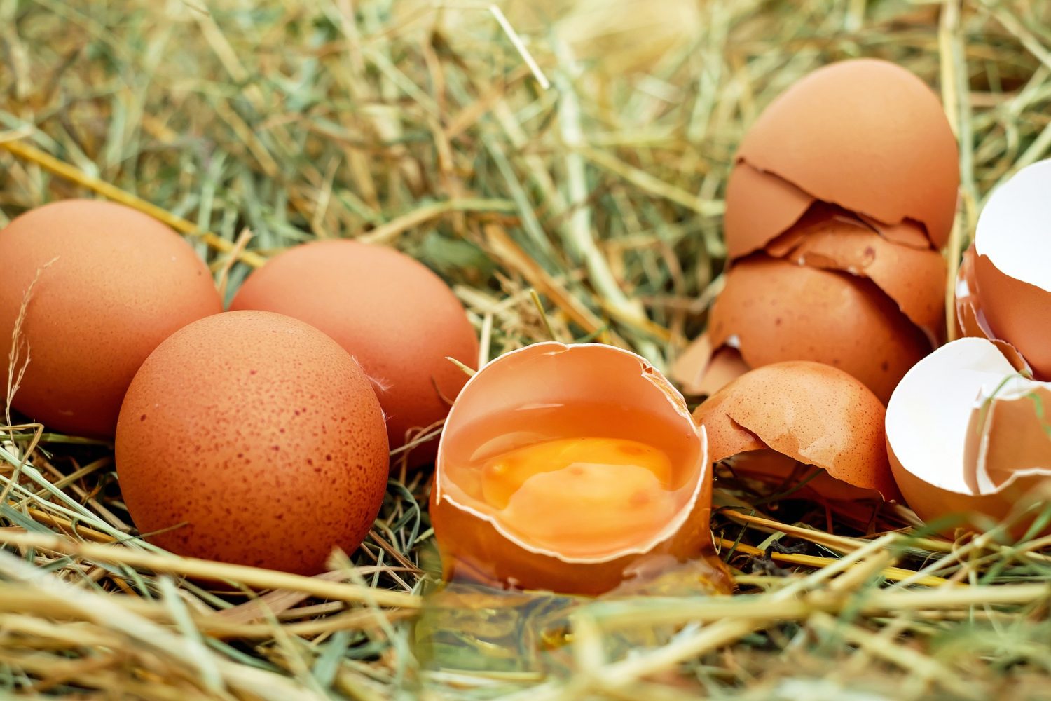 Trứng gà giảm cân tốt hơn trứng vịt
