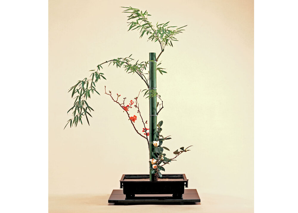 nguyên tắc cắm hoa ikebana nhật bản 