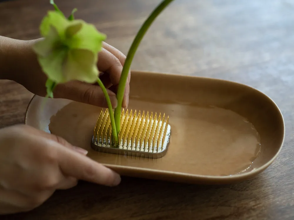 Cách dùng kenzan (đế ghim cắm hoa)