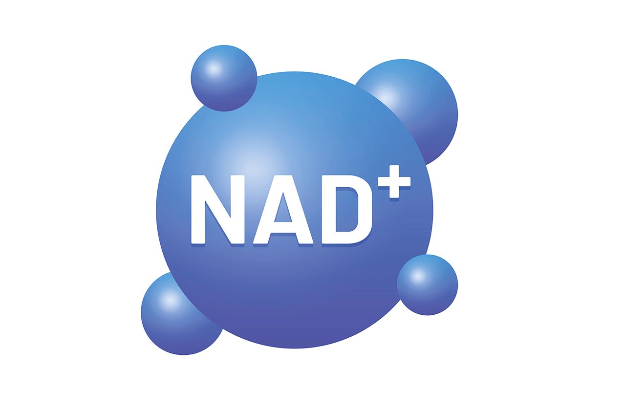 Năng lượng NAD là gì?