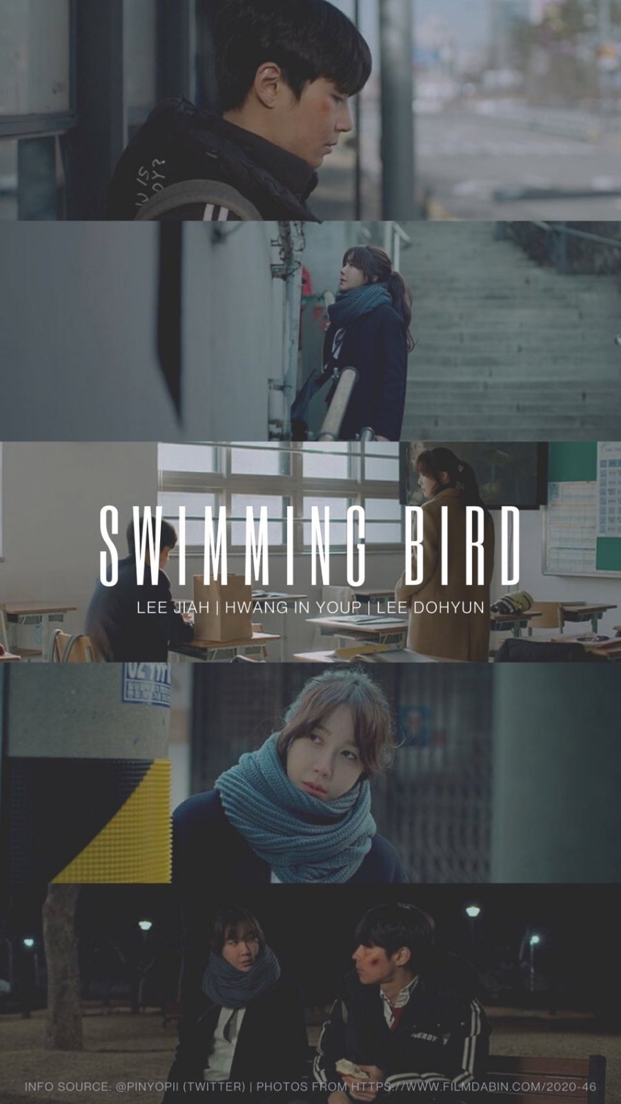 Swimming Bird (2020)