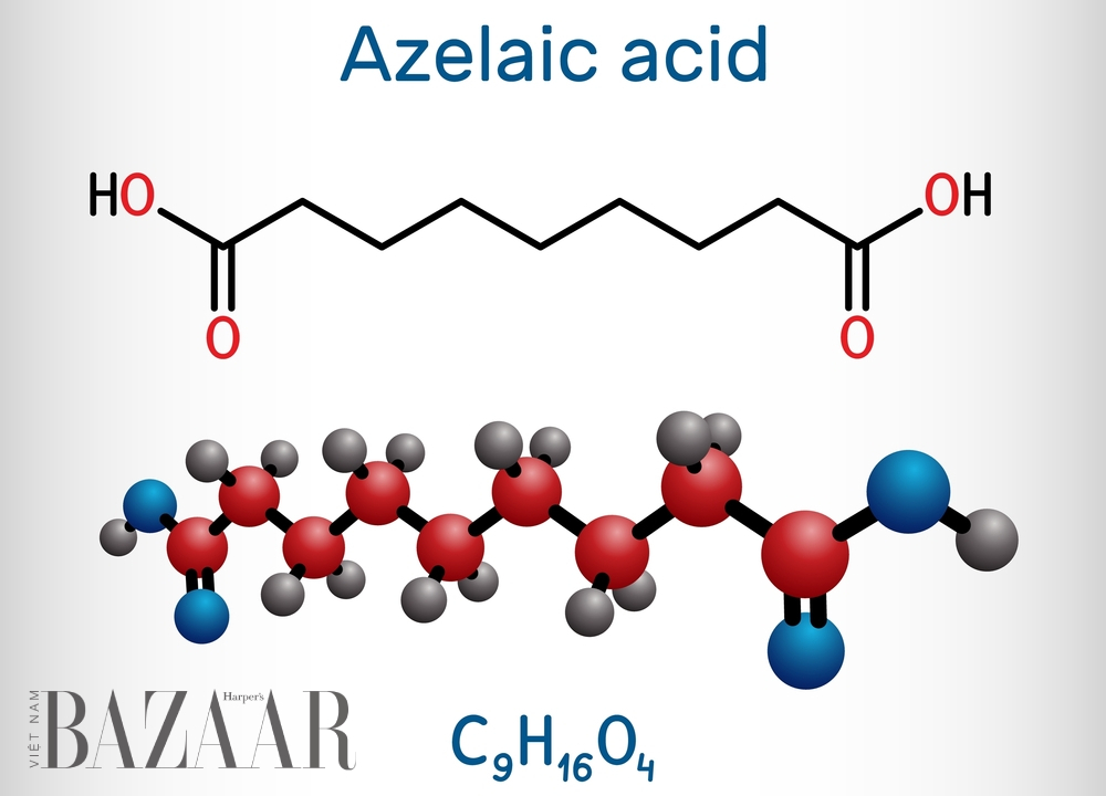 Azelaic acid là gì
