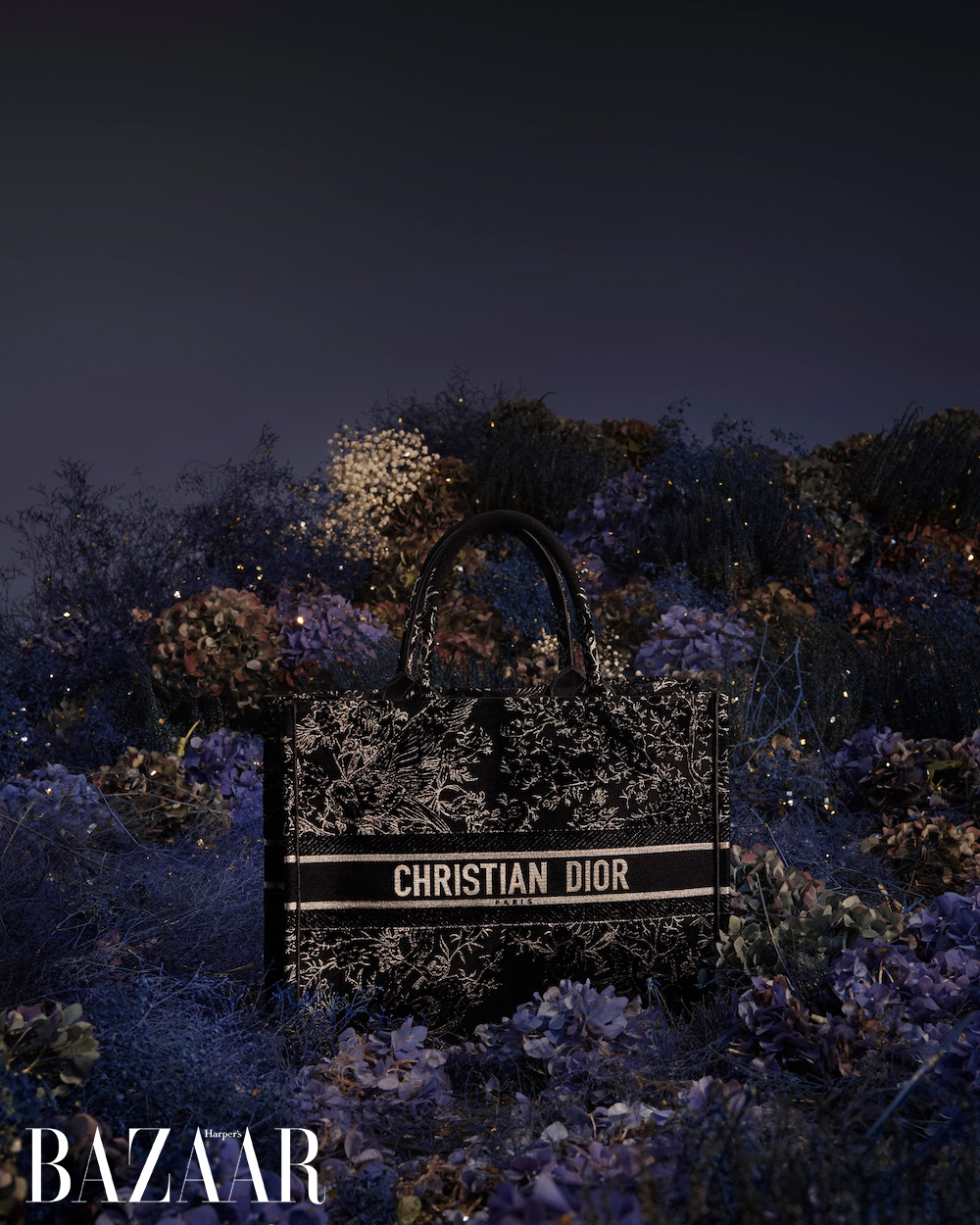 Dior Cruise 2024 Bags Display the Artistry Flora and Fauna of Mexico   PurseBop