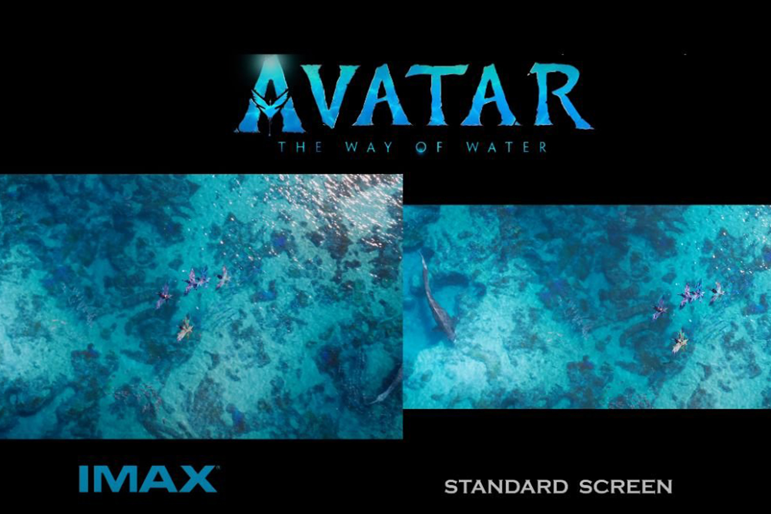 Harper's Bazaar_Các định dạng xem phim Avatar 2_04