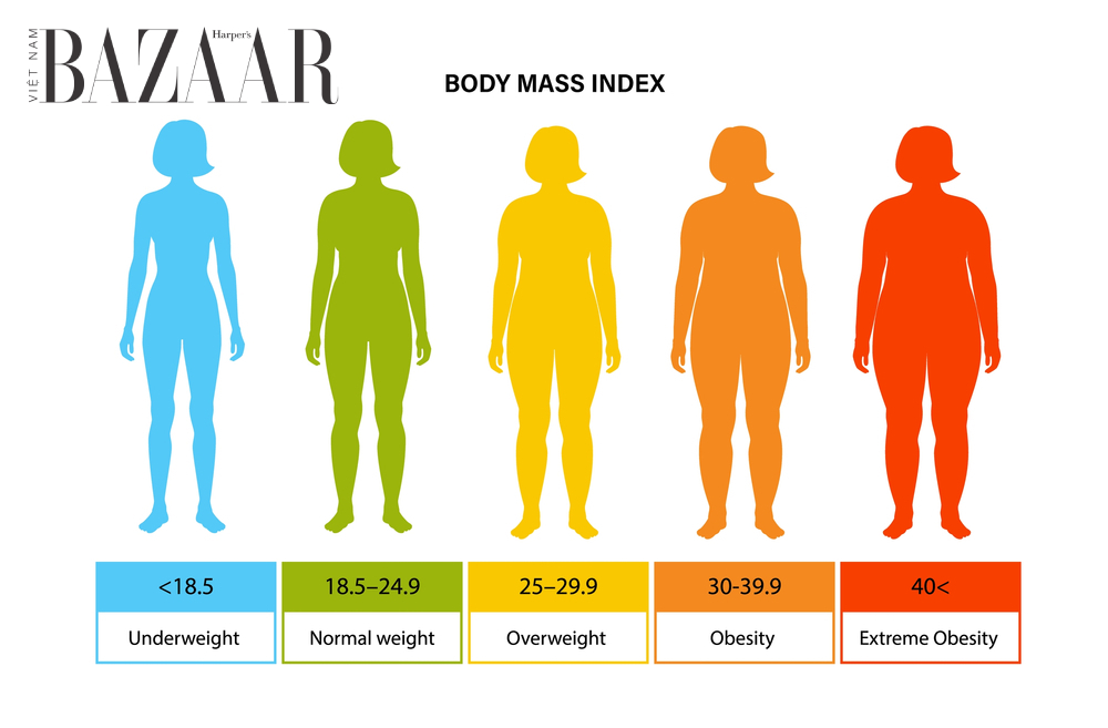 Tỷ lệ body fat mass ở nữ giới