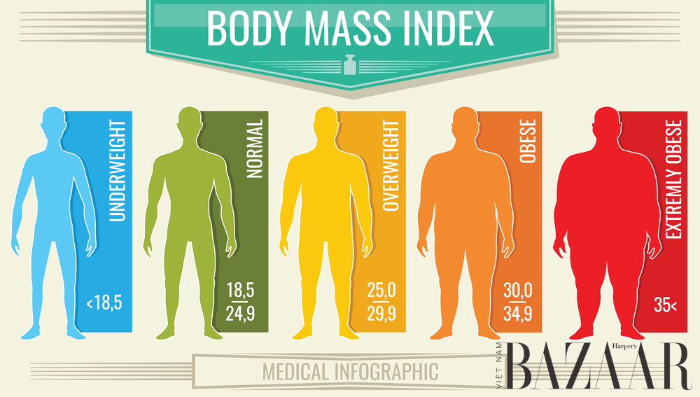 body fat mass ở nam giới