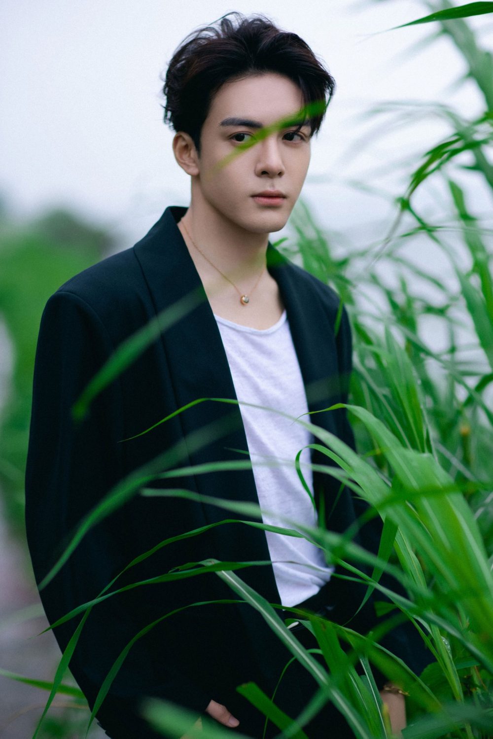 phim của Tăng Thuấn Hy