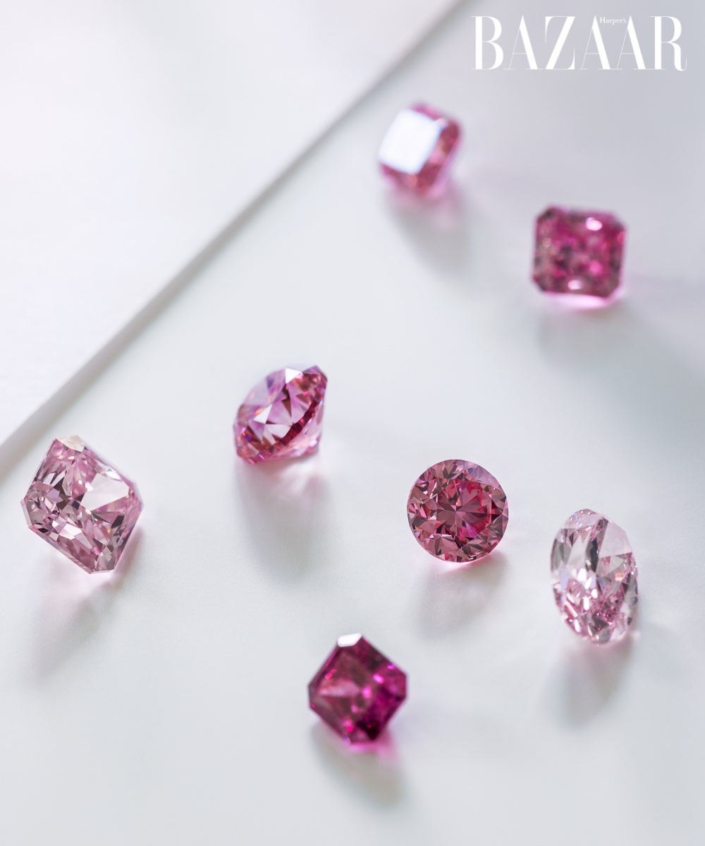 Bộ sưu tập kim cương hồng Argyle của Tiffany & Co. 