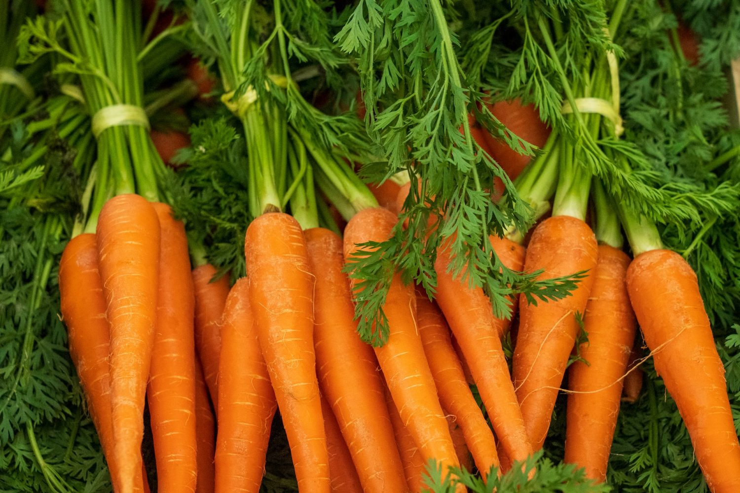 Củ cải trắng có gì sai?  cà rốt