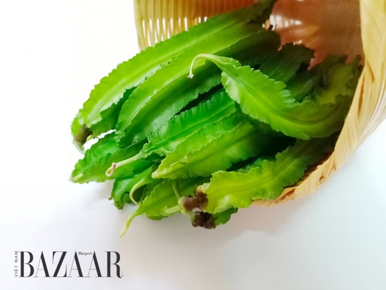 Đậu rồng kỵ với gì? 10 công dụng + 4 tuýp người cần kiêng