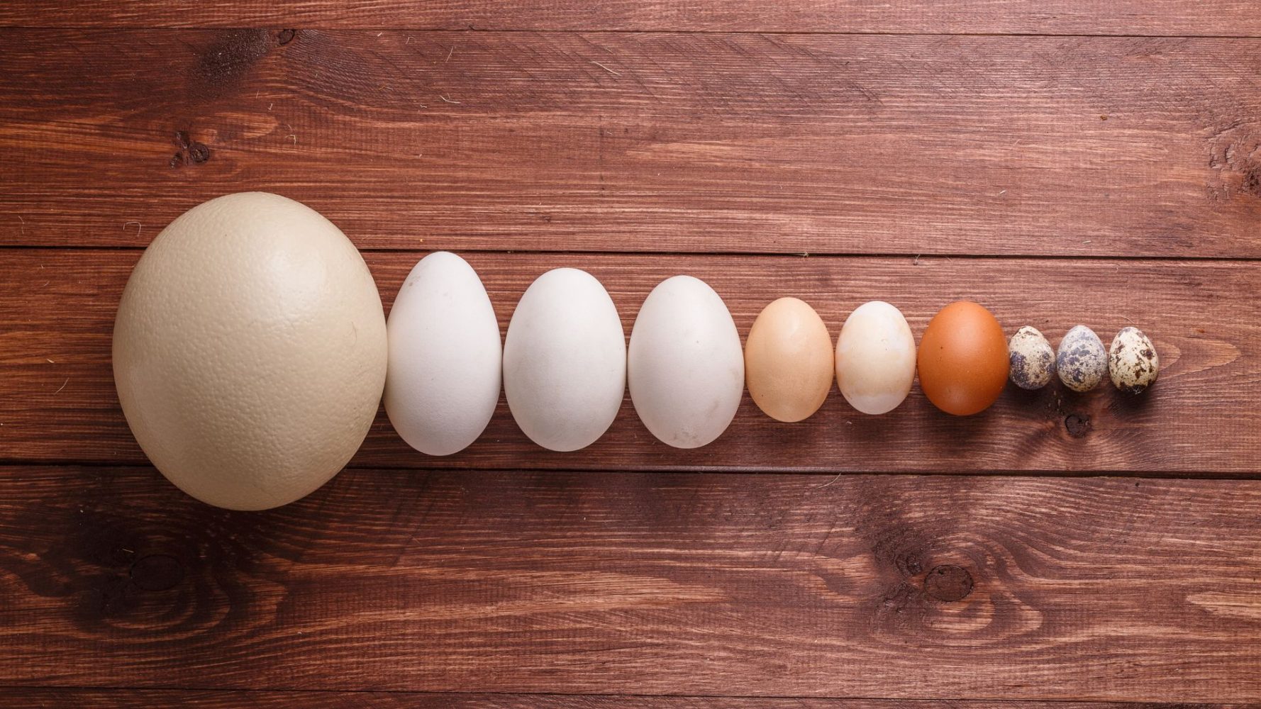 Cách xử lý khi ăn trứng ngỗng với các món ăn