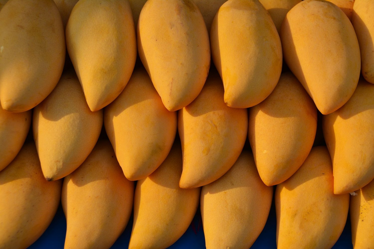 Cilat janë përfitimet e tjera shëndetësore të mangos?