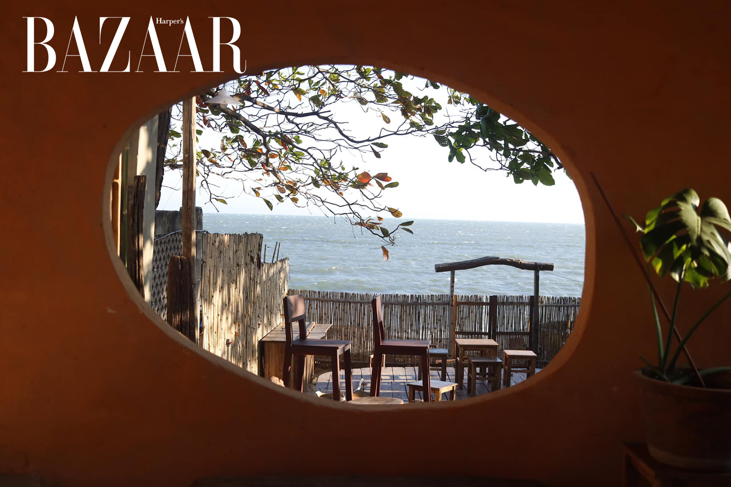 Harper's Bazaar_Check-in 5 quán cà phê đẹp nhất Phan Thiết_02