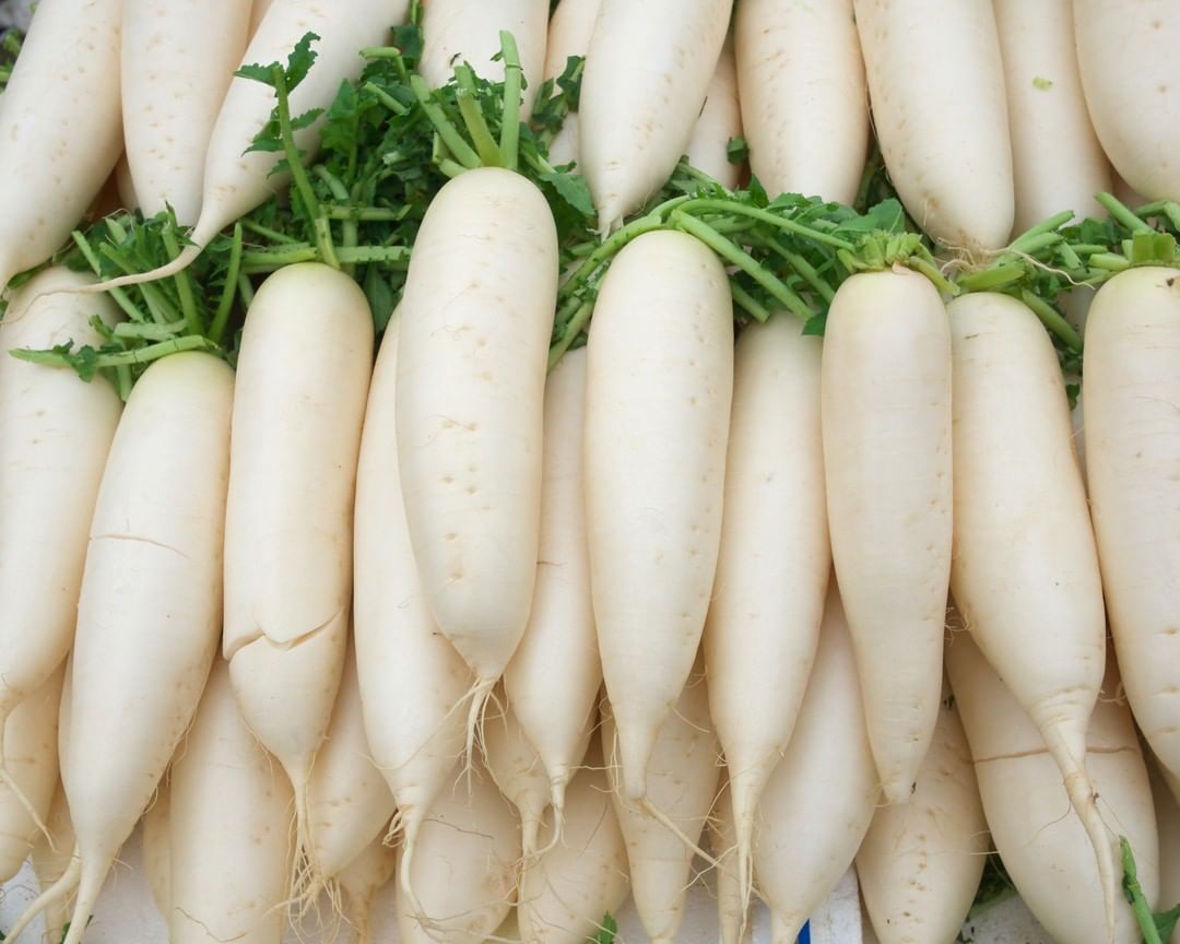 Củ cải trắng không hợp với món gì?
