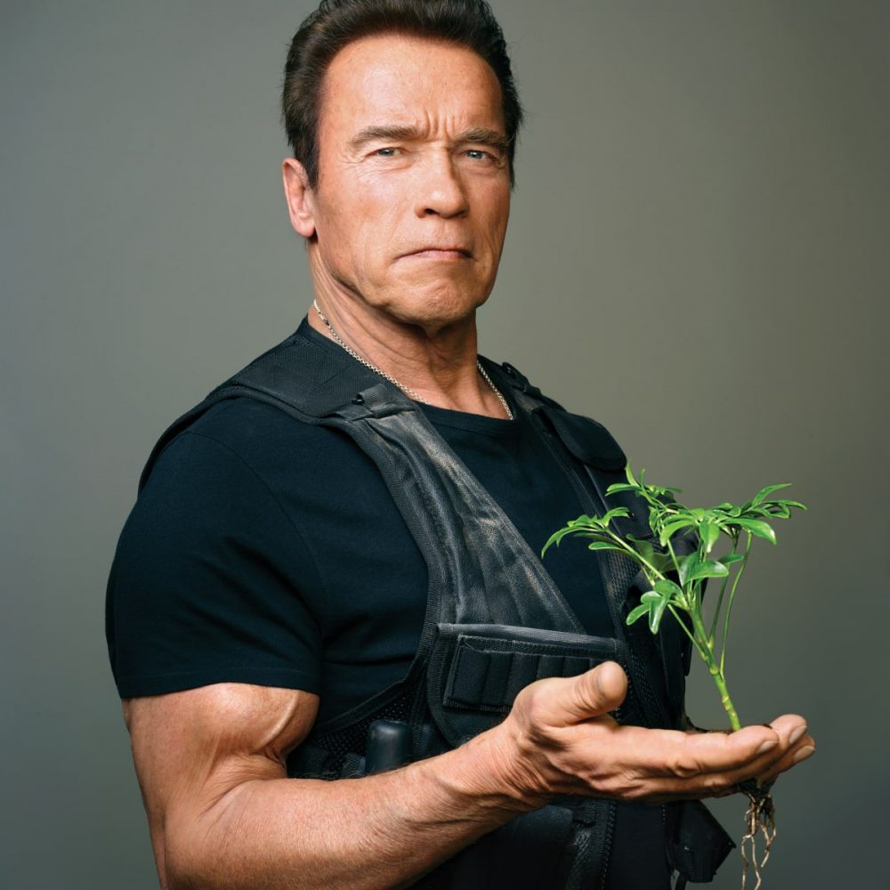 Các phim của Arnold Schwarzenegger đóng chủ yếu là phim hành động