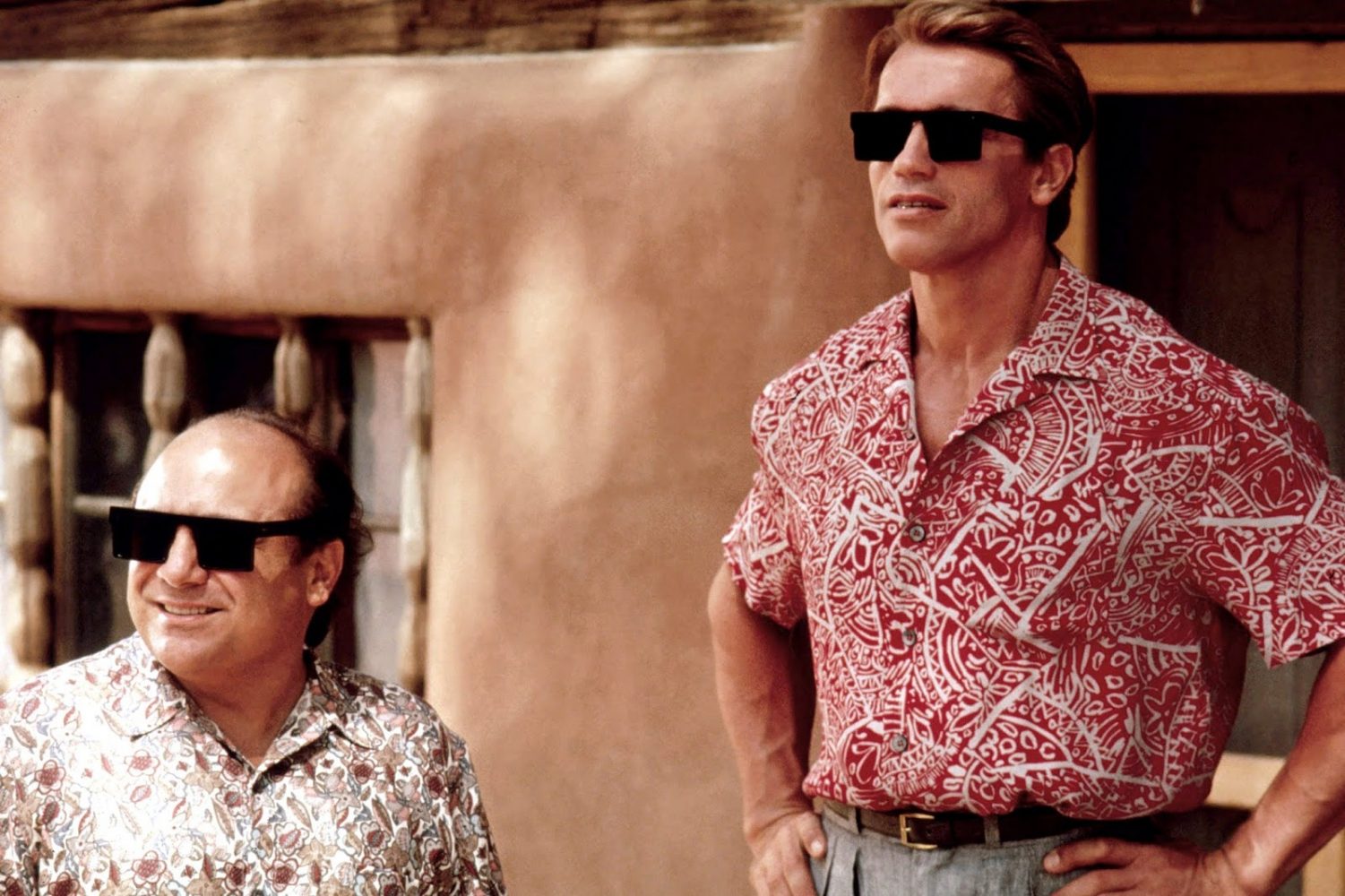 Xem phim của Arnold Schwarzenegger: Anh em song sinh - Twins (1988)