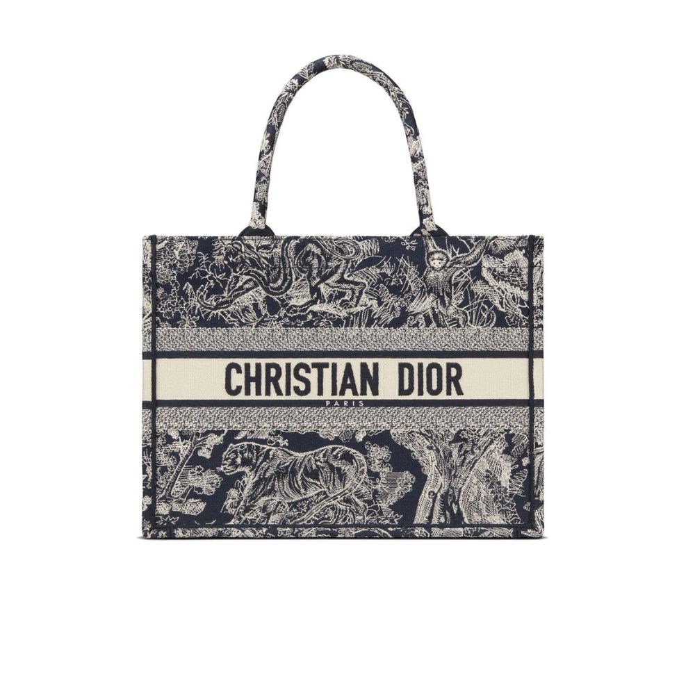 Dior Book Tote