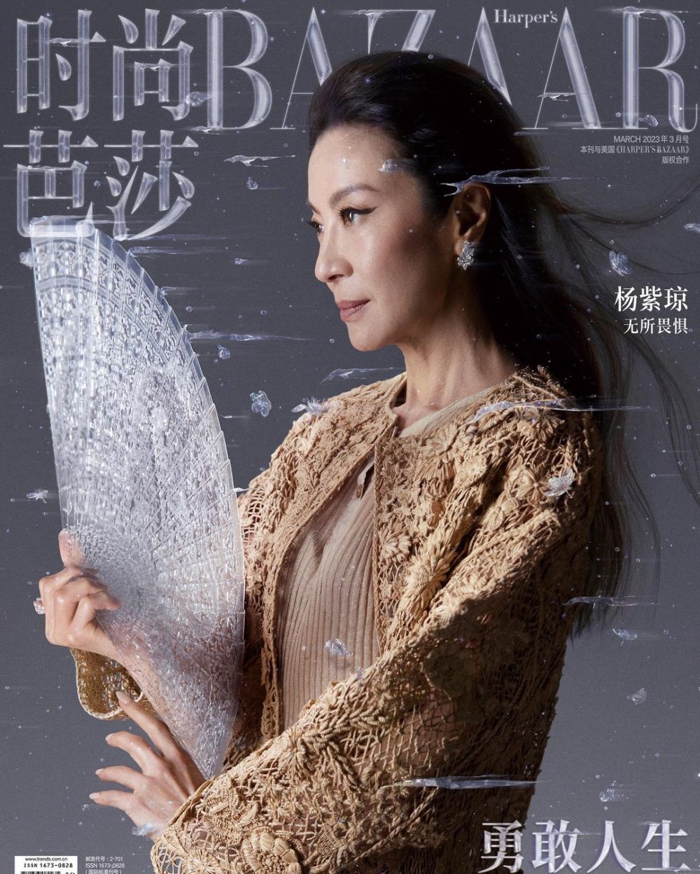 Top 10 phim mới nhất của “đả nữ màn ảnh châu Á” Dương Tử Quỳnh